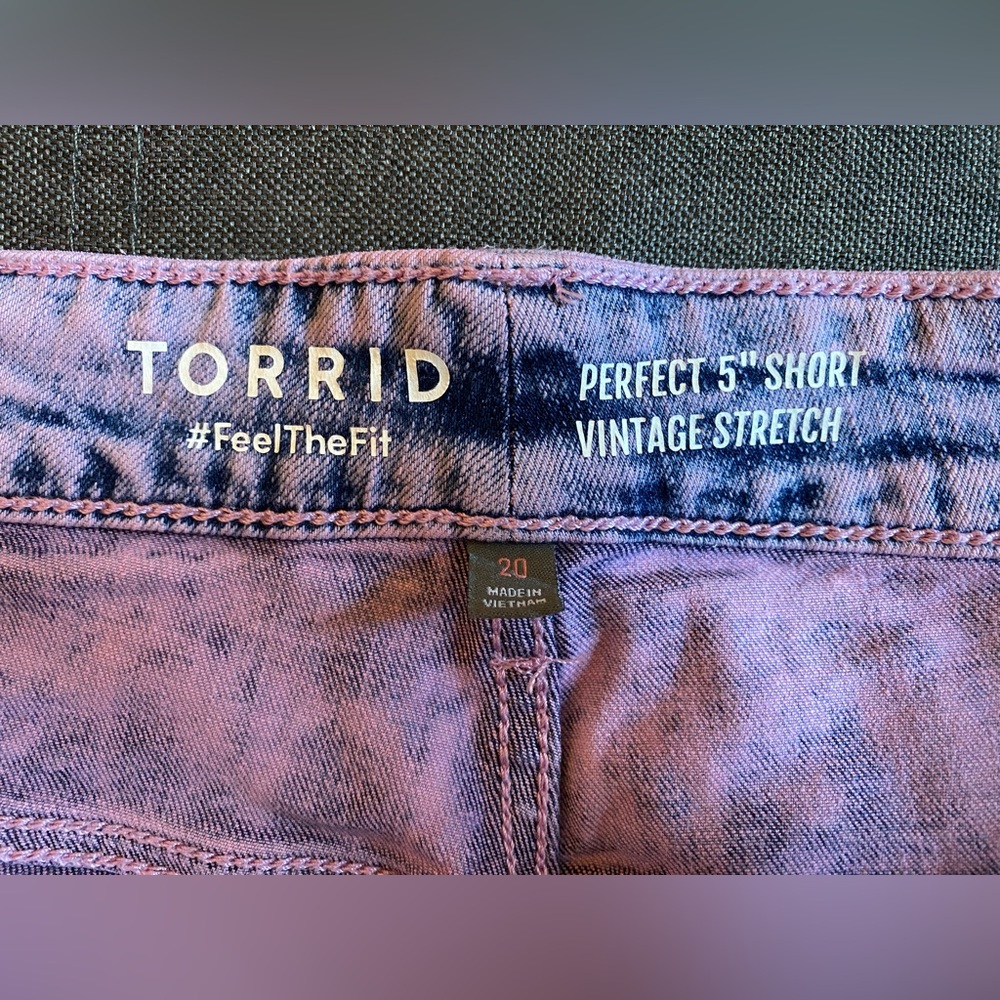 5/$25 NWOT super cute distressed pink/purple Torrid Shorts size 20 - Picture 4 of 6